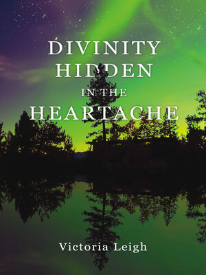 cover image of Divinity Hidden in the Heartache
